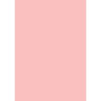 Farrow & Ball Nancys Blushes Colour Swatch