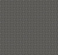 CONTESSA TRELLIS TITANIUM/JET BLACK 4M