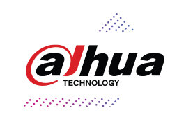 Dahua Portal