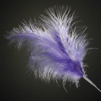 3 Feathers Spray Lilac (H)28cm -  Pack of 36