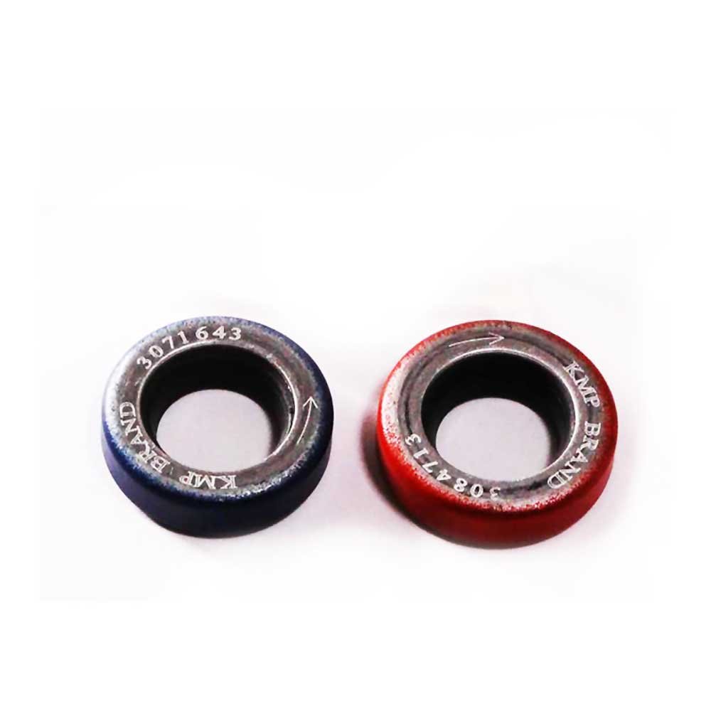 FUEL PUMP SEAL KIT