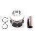 PISTON, PIN & CLIPS - STD