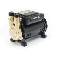 Salamander 3.0 Bar Single Brass Ended Positive Head Regenerative Shower Pump CTFORCE30PS 