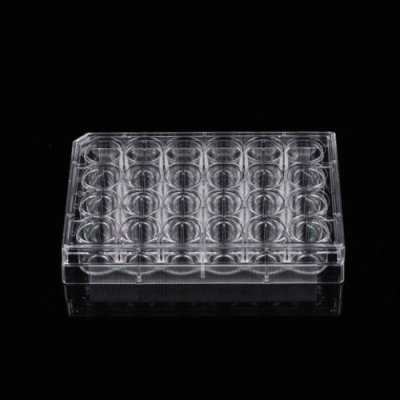 24 Well Glass Bottom Cell Culture Plate,  10mm, TC, sterilized, 1/pk, 10/cs