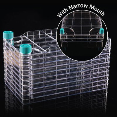 Cell Culture System - WhiteSci