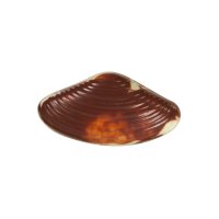 Jacali - Seashells - Praline filled marbled chocolate seashells 12.5g - 14 trays x 3.5kg