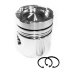 PISTON BODY C/W CLIPS (3017348)