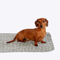 Danish Design Essentials Blanket Polar