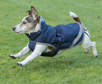 Freedom Dog Rug 300g, 75/85cm Na