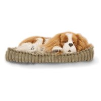 Sammy the spaniel dog is a fluffy white and golden dog that 'breathes'.