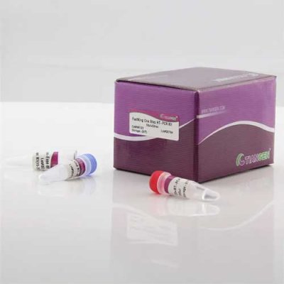 Tiangen FastKing One Step RT-PCR Kit for RNA amplification