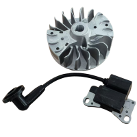 KASEI EBV260E Ignition Coil & Flywheel