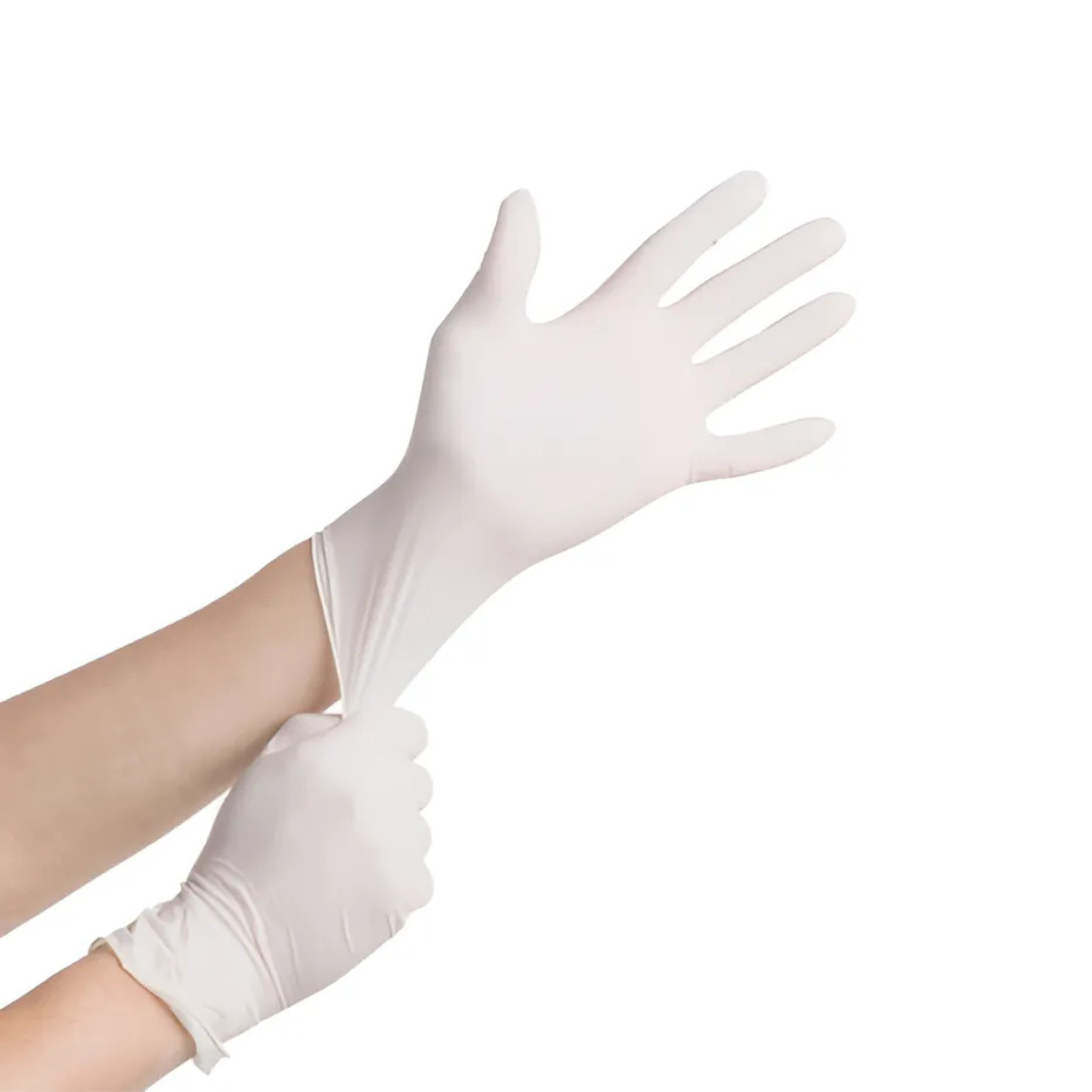 BODYTECH LATEX PF EXAMINATION GLOVE,CLEAR, 1000/CASE