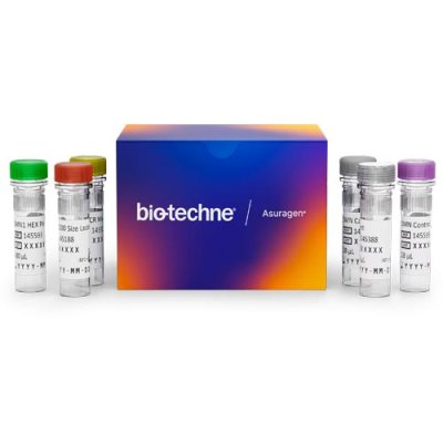 AmplideX&reg;PCR/CE SMN1/2 Kit (100 reactions, RUO)