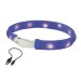 Nobby Dog Starlight LED Light Ribbon Collar