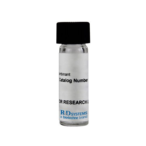 Protein, Recombinant Human NT-3 Protein, 25 &micro;g