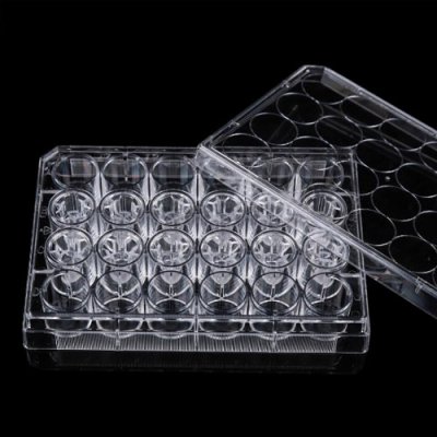 Single 24 Well Plate + 12 Cell Culture Inserts, PET Membrane, 8&mu;m, TC Treated, Sterile, 4 plates