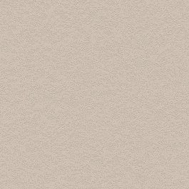 Cashmere Stucco - NH50