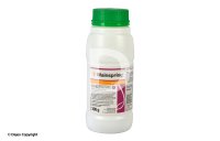 MAINSPRING 300g