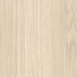 Pale Grey Oak - CT79