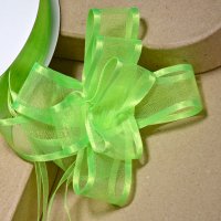 Organza Pull Bow Ribbon Lime - 33 Pieces 23mm x 15m