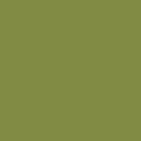 Ralston Botanical Aqua All Primer Colour Swatch