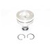 PISTON BODY,STD C/W CLIPS