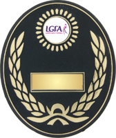 100mm Plastic Plaque (Black with Gold) V201