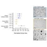 Cell Culture Matrix, Cultrex UltiMatrix Reduced Growth Factor Basement Membrane Extract, 10 ml