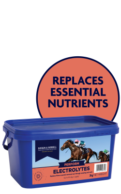 Dodson & Horrell Electrolytes 15kg