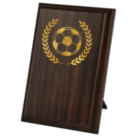 12.5cm Soccer Plaque