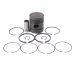 PISTON BODY C/W CLIPS