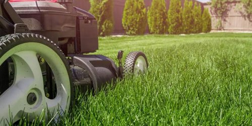 Garden Machinery