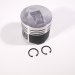 PISTON BODY STD C/W CLIPS