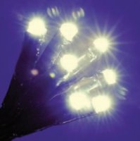 100 LED WARM WHITE LIGHTS CONNECT 10M WITH AN 8 MULTIFUNCTION DRIVER