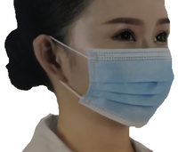 3 Layer Disposable Face Mask (Case 2000)