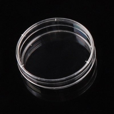 Cell Culture Dishes