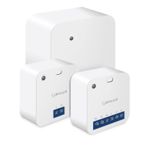 Salus Wireless Pump Over Run Switch GGPC1