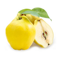 Quince (Ayva) -(Single)