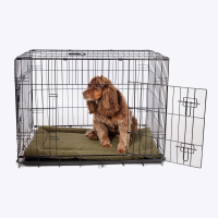 Danish Design Crate Mattress Olive X-Large