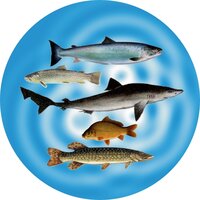 Fishing (25mm Centre)