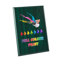 22.5cm Green Plaque - UV Printed