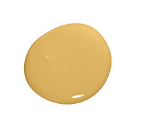 Colourtrend Georgian Gold Colour Swatch