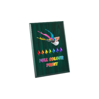 15cm Green Plaque - UV Printed