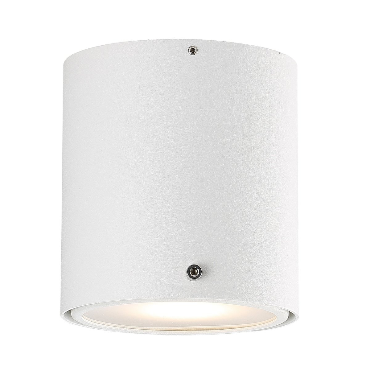 Nordlux IP S4 GU10 Ceiling Spotlight
