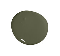 Colourtrend Sweet Caper Soft Sheen Colour Swatch