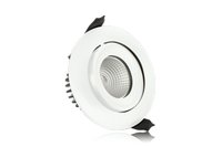 6w IP65 Fire Rated Tiltable Downlight 3000K