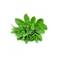 Fresh Mint (Bunch)