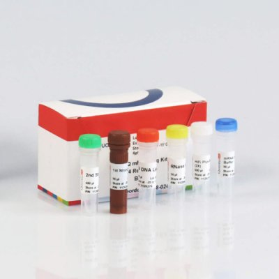 sparQ mRNA-Seq Kit, 24R