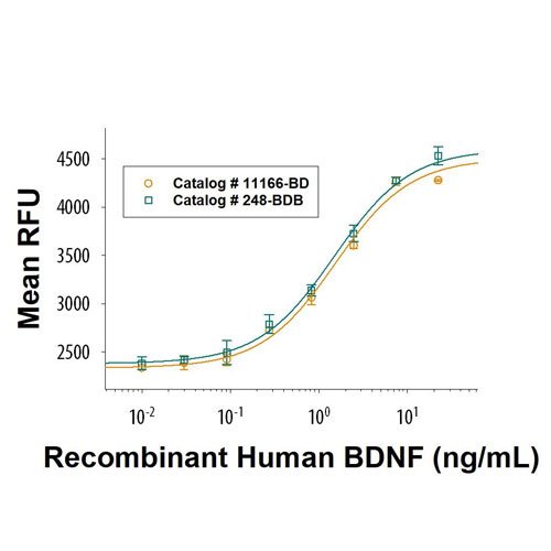 Protein, Recombinant Human BDNF Protein, 50 &micro;g